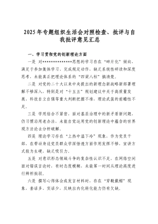 2025年专题组织生活会对照检查、批评与自我批评意见汇总
