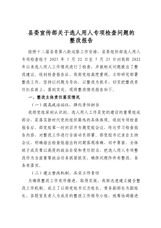 县委宣传部关于选人用人专项检查问题的整改报告