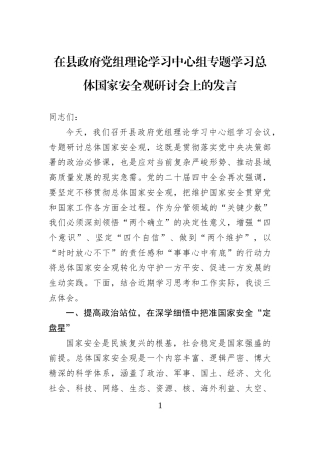 在县政府党组理论学习中心组专题学习总体国家安全观研讨会上的发言 (1)