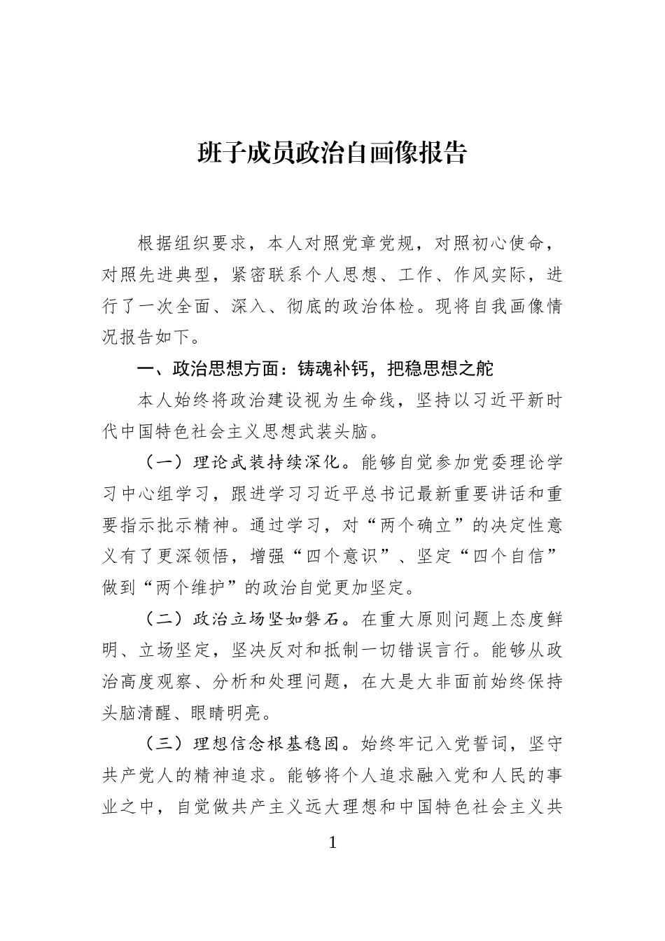 班子成员政治自画像报告_第1页