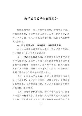 班子成员政治自画像报告