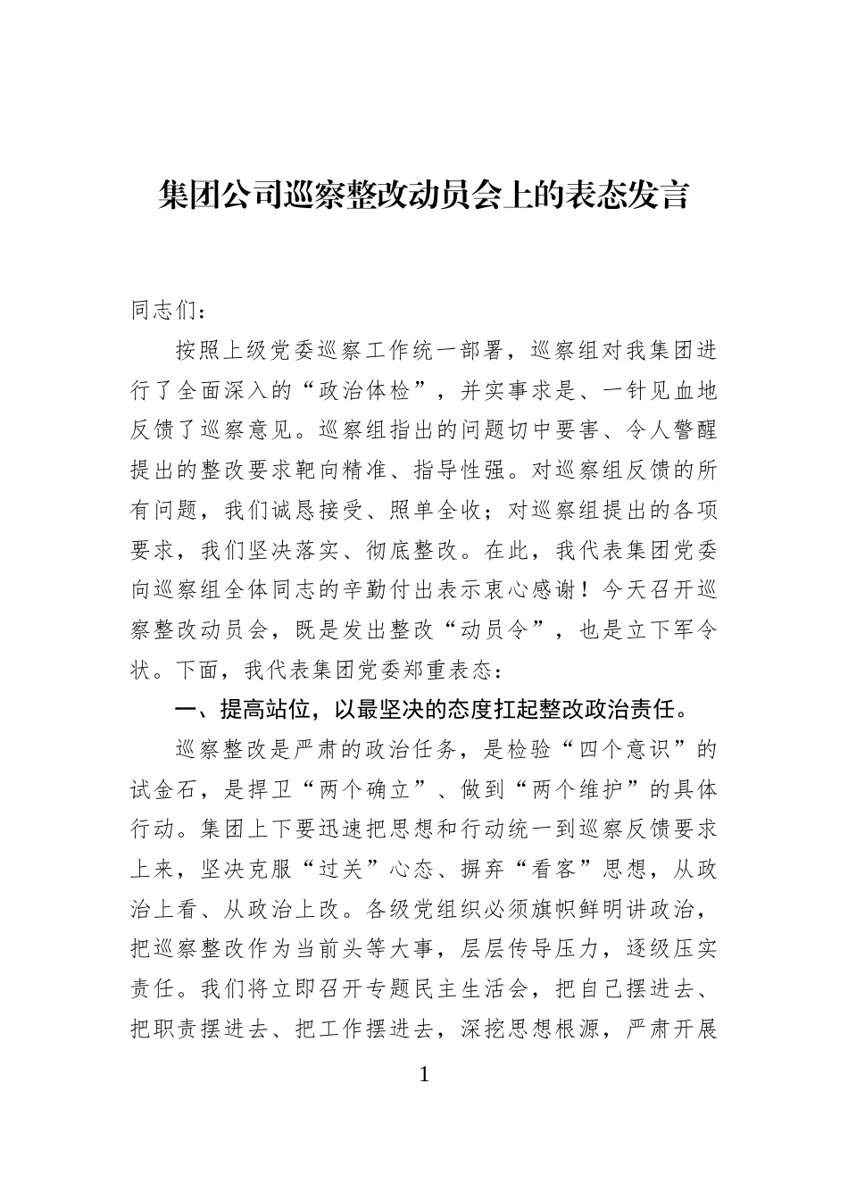 集团公司巡察整改动员会上的表态发言_第1页