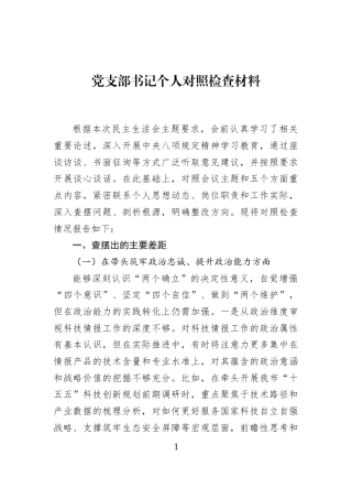 党支部书记个人对照检查材料