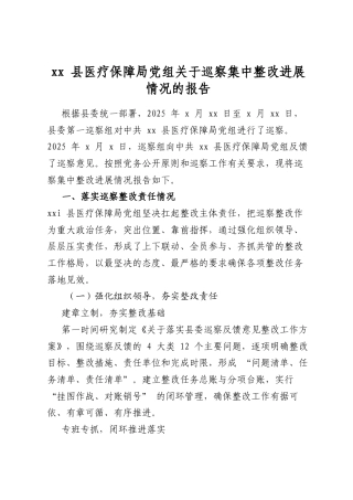 县医疗保障局党组关于巡察集中整改进展情况的报告