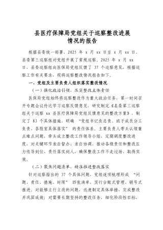 县医疗保障局党组关于巡察整改进展情况的报告