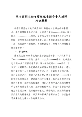 党支部副主任年度组织生活会个人对照检查材料