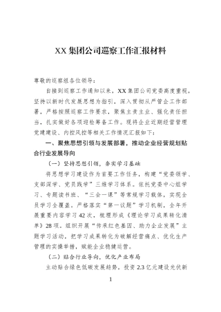 XX集团公司巡察工作汇报材料