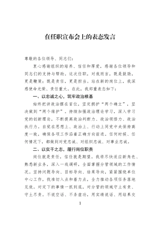 在任职宣布会上的表态发言