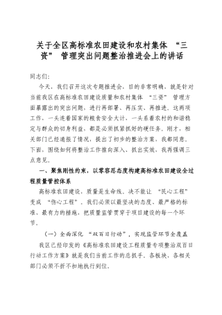 关于全区高标准农田建设和农村集体“三资”管理突出问题整治推进会上的讲话
