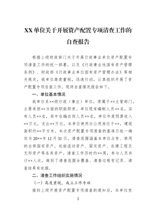 XX单位关于开展资产配置专项清查工作的自查报告