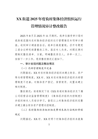 XX街道2025年度农村集体经济组织运行管理情况审计整改报告