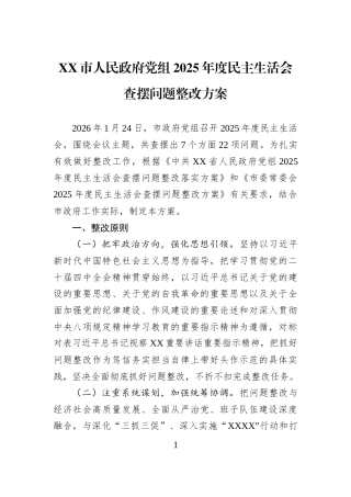 XX市人民政府党组2025年度民主生活会查摆问题整改方案