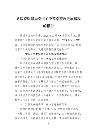 县医疗保障局党组关于巡察整改进展情况的报告