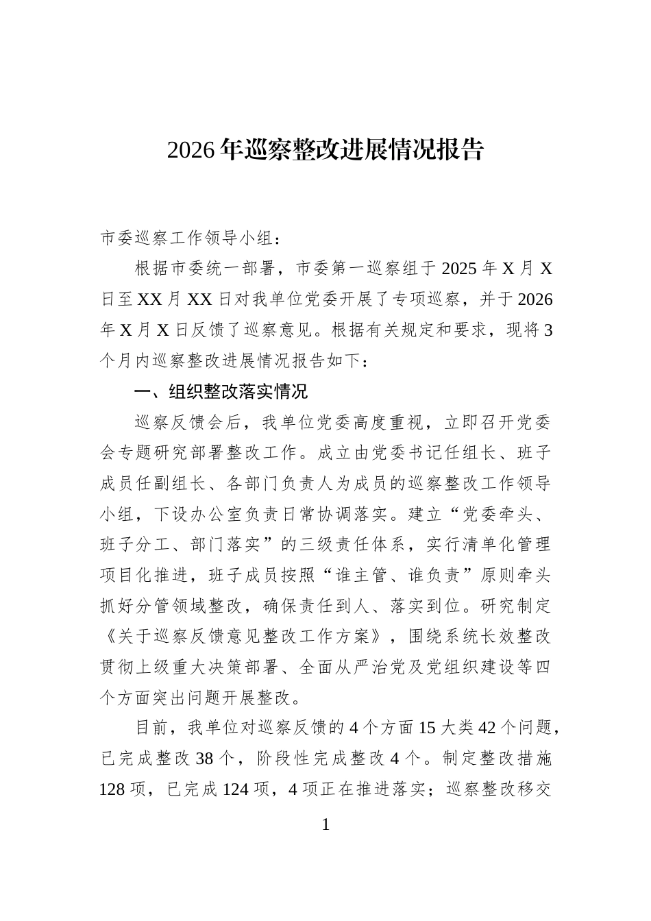 2026年巡察整改进展情况报告_第1页