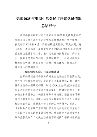 支部2025年组织生活会民主评议党员情况总结报告