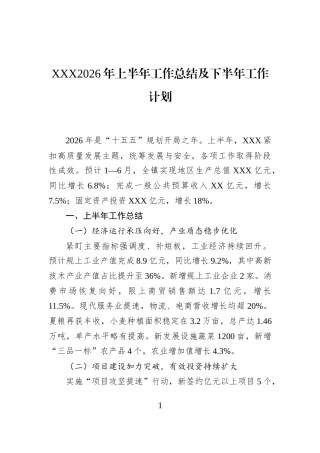 XXX2026年上半年工作总结及下半年工作计划
