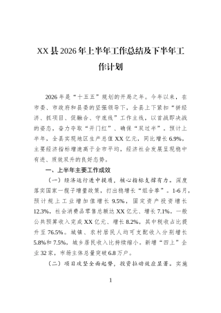 XX县2026年上半年工作总结及下半年工作计划