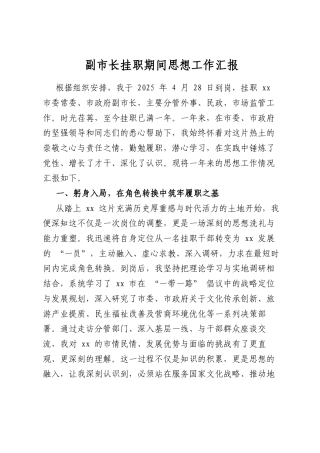 副市长挂职期间思想工作汇报