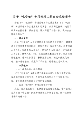 关于“吃空饷”专项治理工作自查总结报告