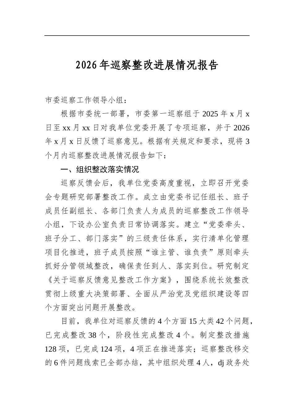 2026年巡察整改进展情况报告_第1页