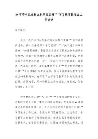 市委书记在树立和践行正确政绩观学习教育推进会上的讲话