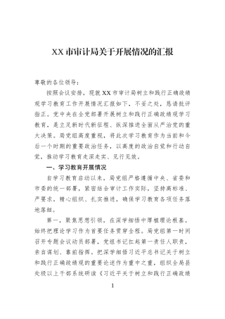 XX市审计局关于开展情况的汇报