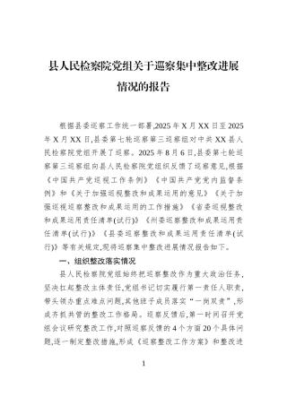县人民检察院党组关于巡察集中整改进展情况的报告