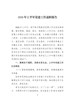 2026年上半年党建工作述职报告