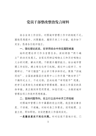 党员干部整改整治发言材料