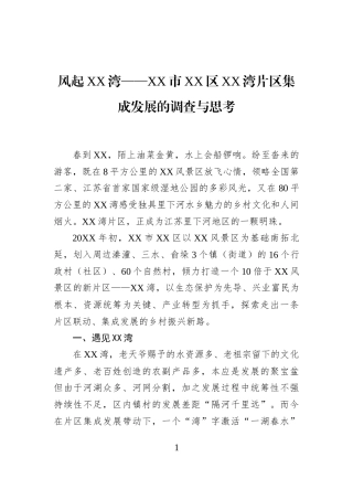 风起XX湾——XX市XX区XX湾片区集成发展的调查与思考