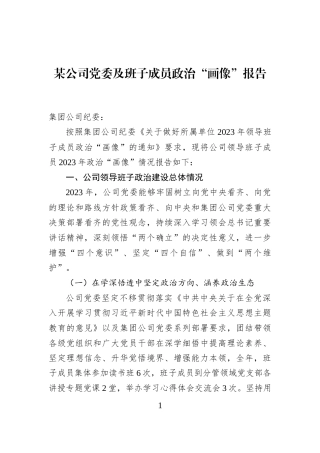 某公司党委及班子成员政治“画像”报告