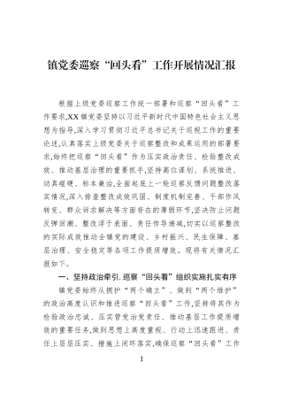 镇党委巡察“回头看”工作开展情况汇报