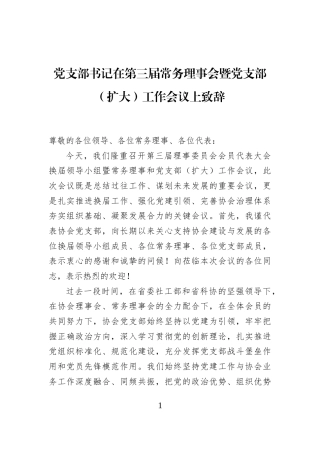 党支部书记在第三届常务理事会暨党支部（扩大）工作会议上致辞
