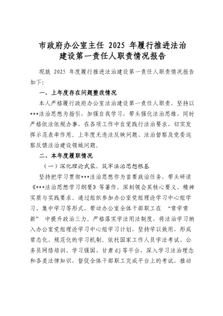 市政府办公室主任2025年履行推进法治建设第一责任人职责情况报告