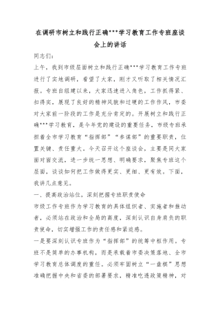 在调研市树立和践行正确政绩观学习教育工作专班座谈会上的讲话