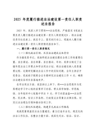 2025年度履行推进法治建设第一责任人职责述法报告