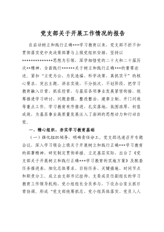 党支部关于开展工作情况的报告