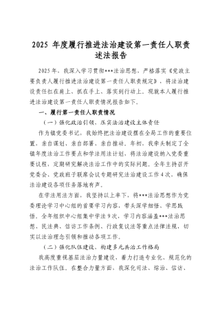 2025年度履行推进法治建设第一责任人职责述法报告