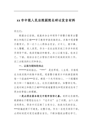 市中级人民法院副院长研讨发言材料