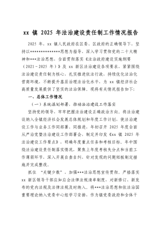 镇2025年法治建设责任制工作情况报告