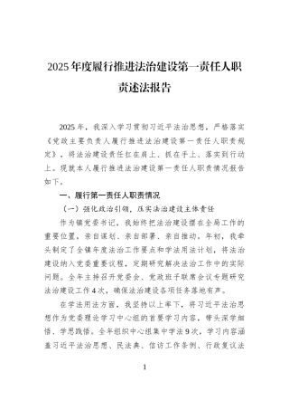 2025年度履行推进法治建设第一责任人职责述法报告