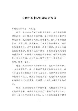国企纪委书记任职表态发言