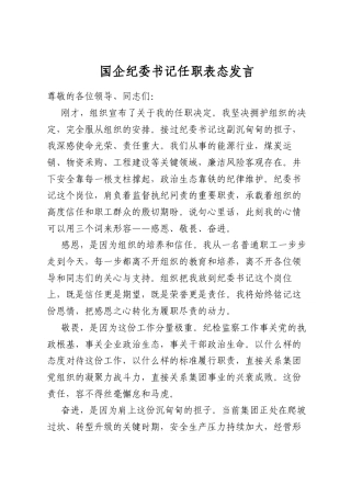 国企纪委书记任职表态发言