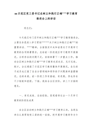 示范区党工委书记在树立和践行正确政绩观学习教育推进会上的讲话
