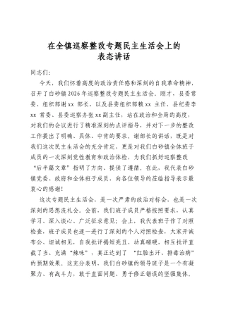 在全镇巡察整改专题民主生活会上的表态讲话