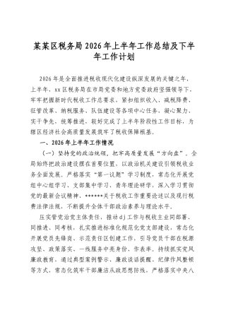 某某区税务局2026年上半年工作总结及下半年工作计划