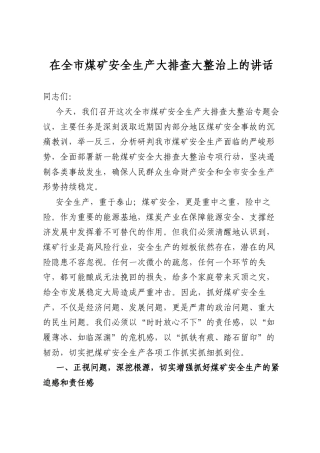 在全市煤矿安全生产大排查大整治上的讲话