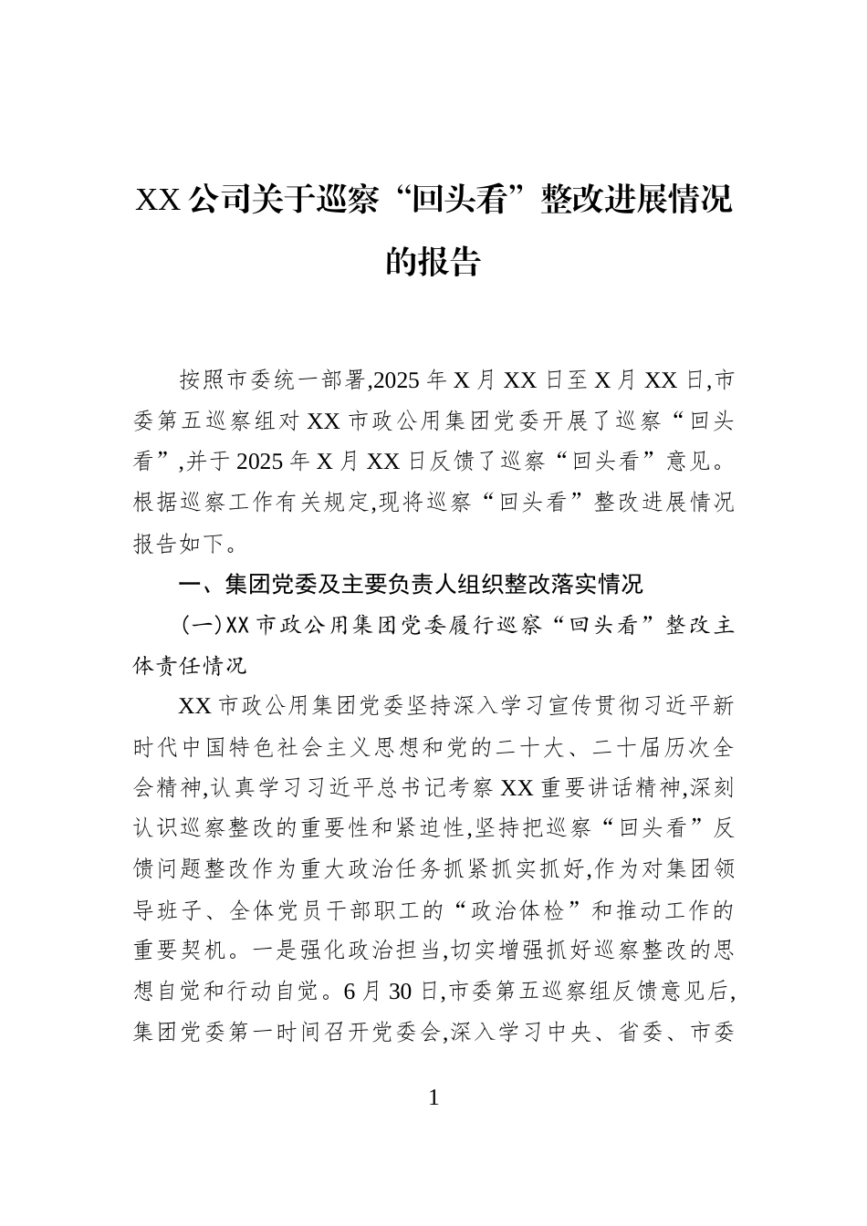 XX公司关于巡察“回头看”整改进展情况的报告_第1页