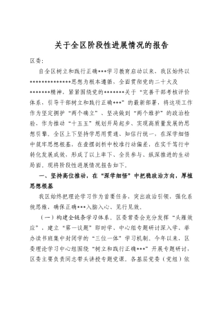 关于全区阶段性进展情况的报告