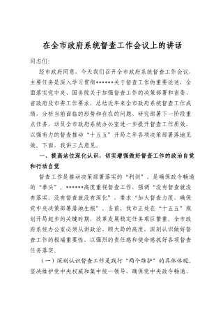 在全市政府系统督查工作会议上的讲话